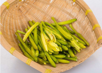 鲜黄花菜能吃吗_一文告诉你答案