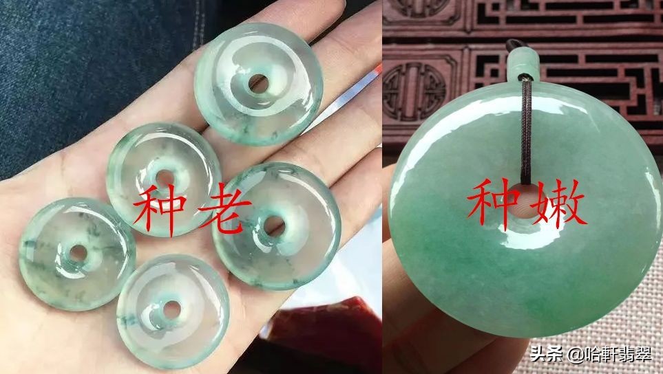 翡翠怎么辨别好坏_翡翠辨别好坏的方法