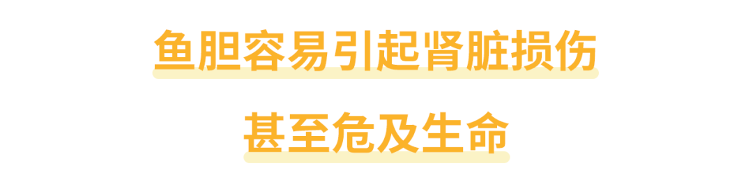 鱼胆的危害有哪些_鱼胆的主要危害