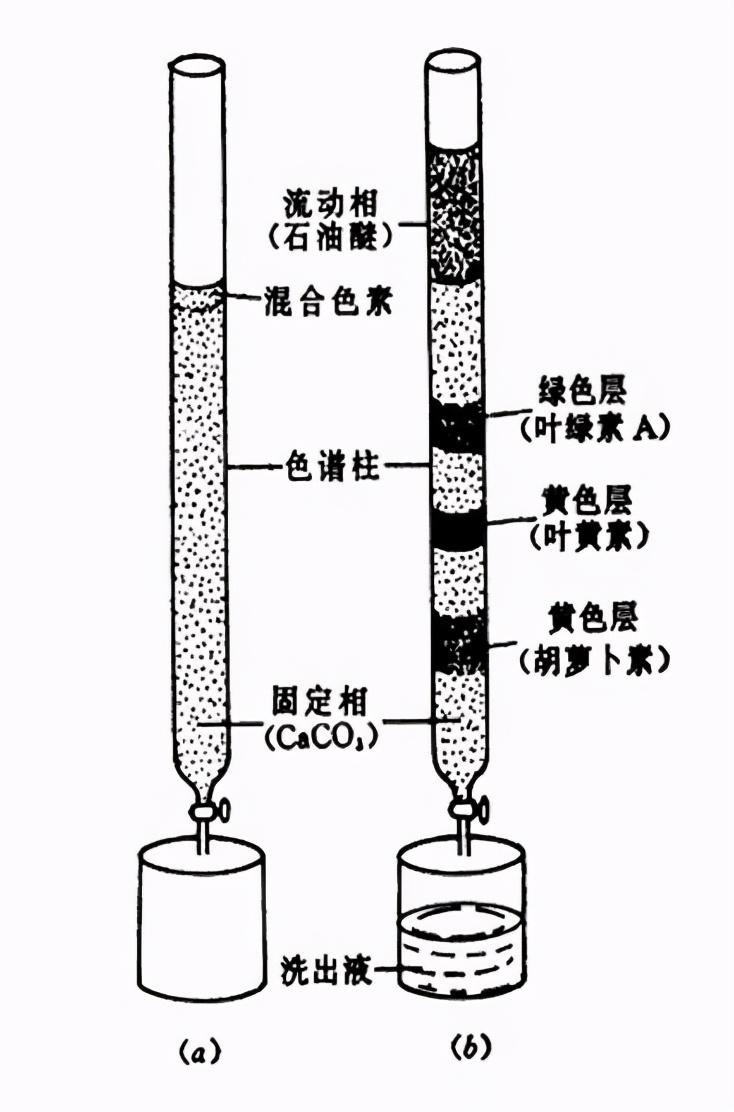 什么是色谱分析法_什么是色谱分析的原理