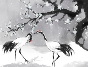 梅花诗作者是谁_梅花诗作者及诗词赏析