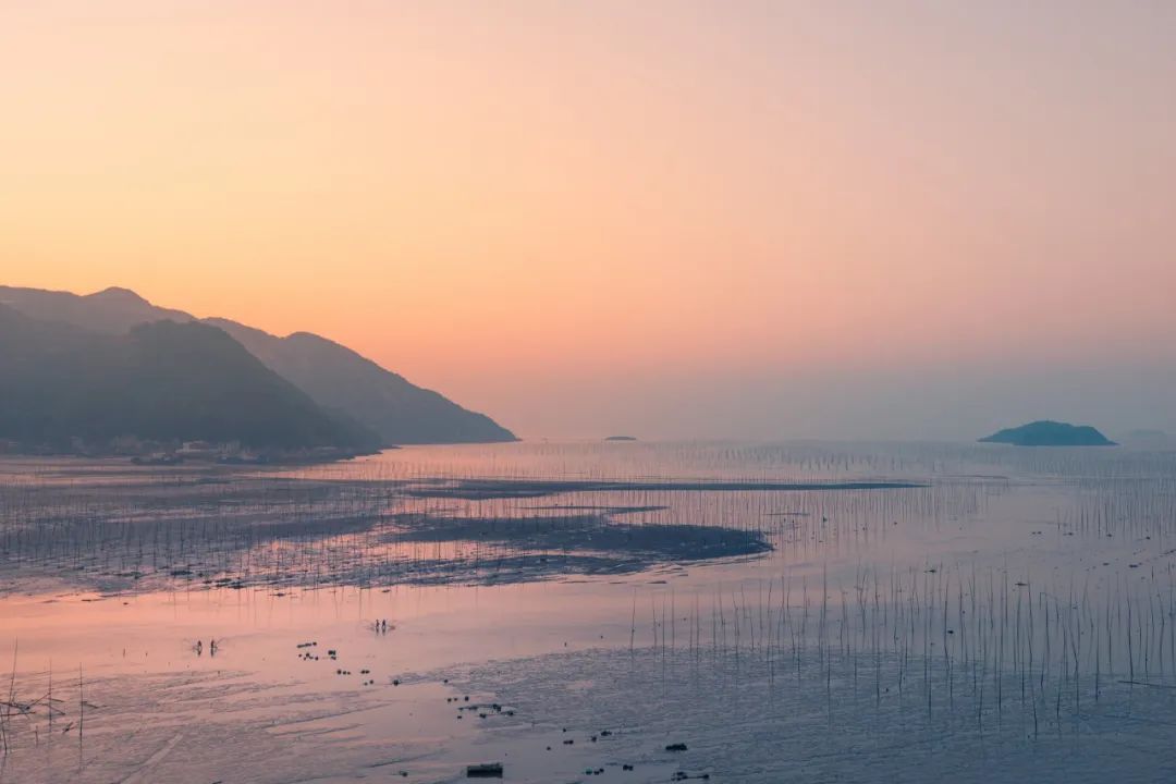 蕴含哲理的古诗有哪些_蕴含哲理的古诗大全