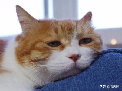 感恩的短信有哪些_感恩的短信合集