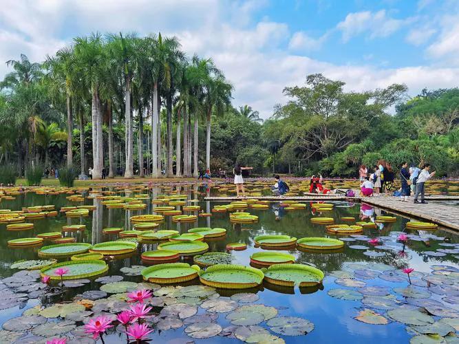 云南旅游景点有哪些_云南最美旅游景点概况