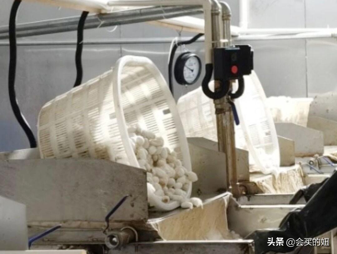 蚕丝被怎么选_蚕丝被的选择方法