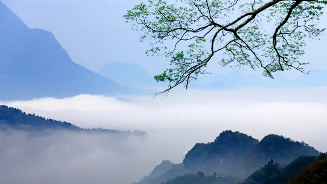 白居易的诗歌有哪些_白居易的诗歌欣赏