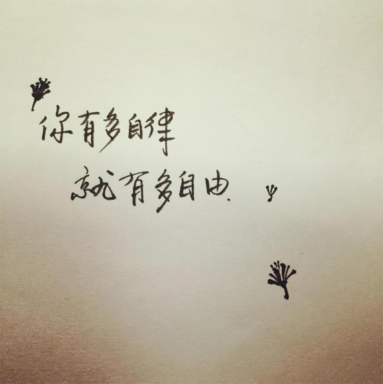 随心所欲的意思是什么_随心所欲的含义