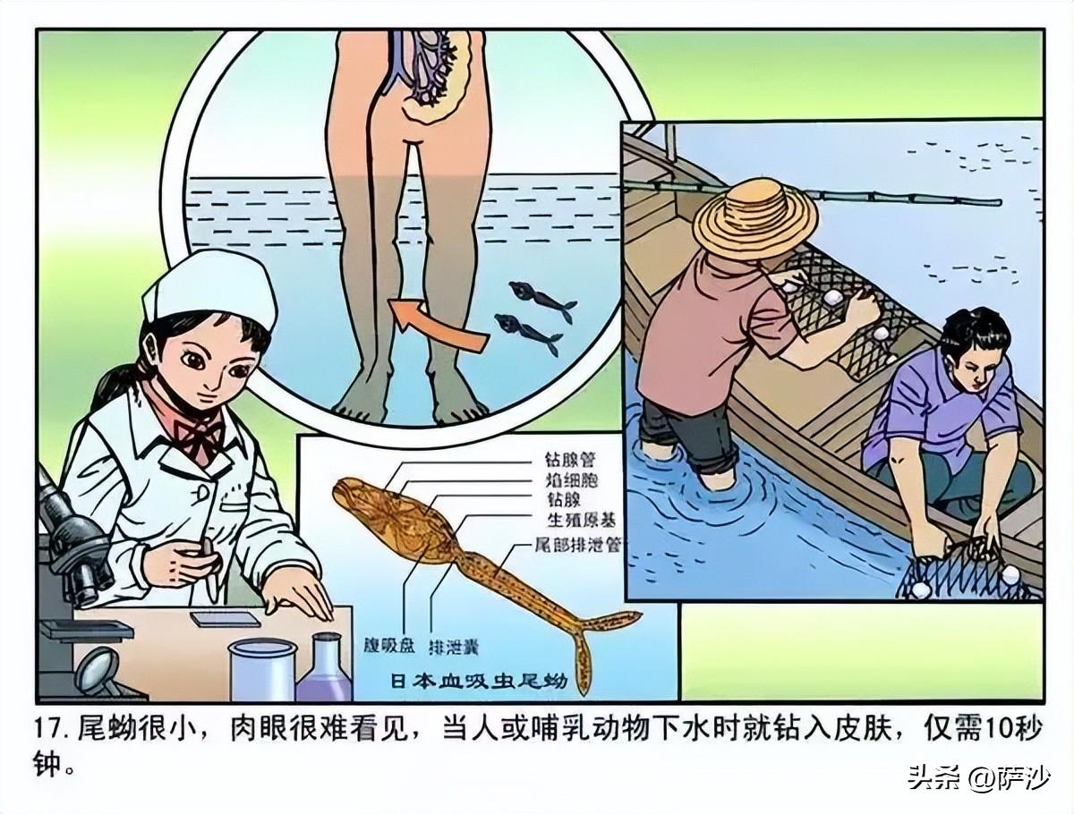 蔡瑁怎么死的_蔡瑁的最后结局