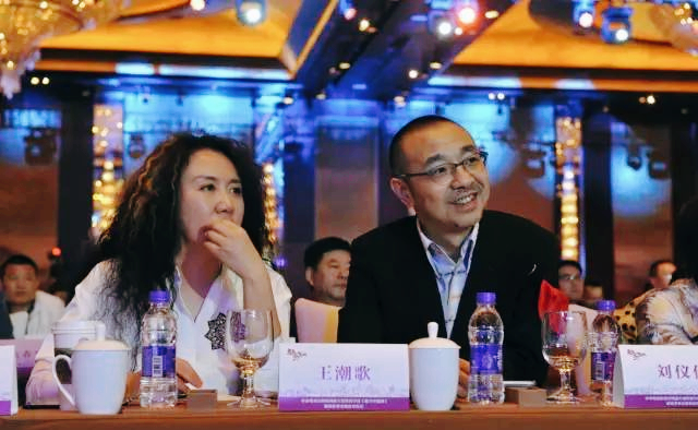 王潮歌是谁_王潮歌个人简介