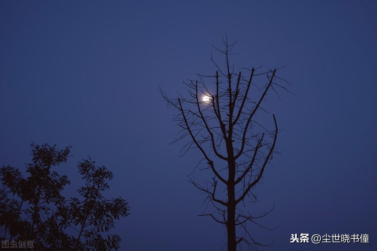 叶绍翁是哪个朝代的_叶绍翁个人简介