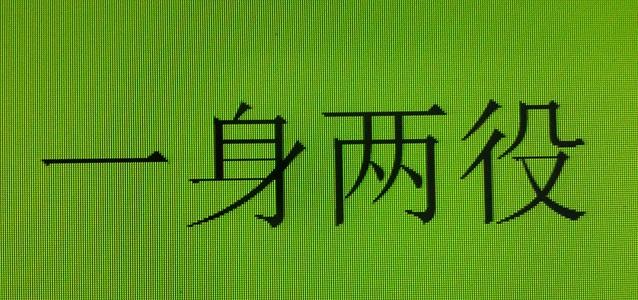 一身两役什么意思_一身两役的含义