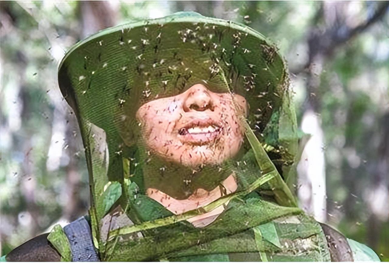 中国北湾边防线有多恐怖_一文带你了解
