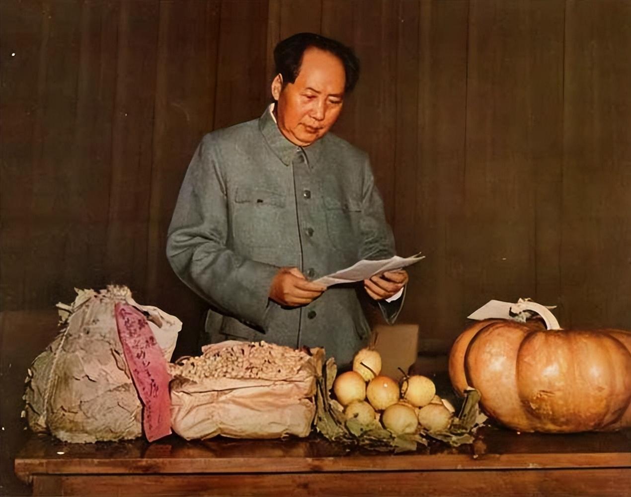 毛主席提了什么请求张玉凤执行一辈子_一文解答