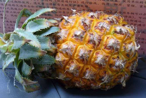 菠萝怎么挑选_菠萝的挑选技巧