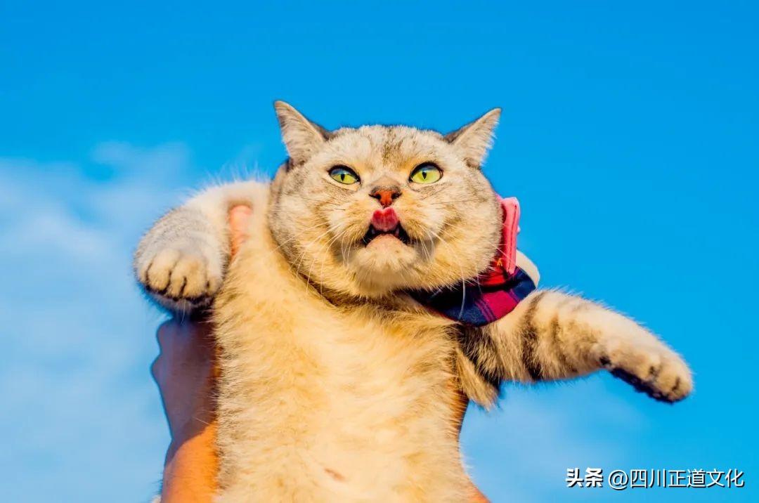 2023年的新语录有哪些_2023年精辟语录合集