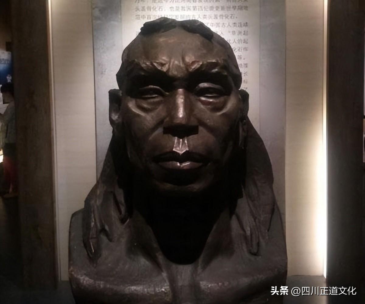 夏娃理论为什么被质疑_一文解答