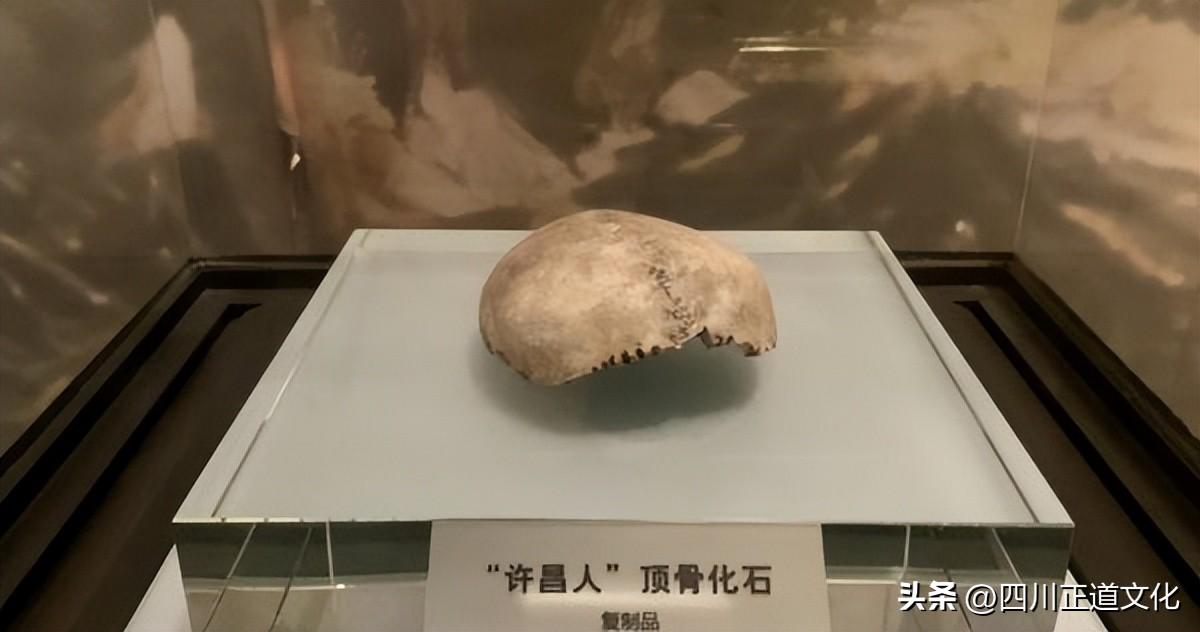 夏娃理论为什么被质疑_一文解答