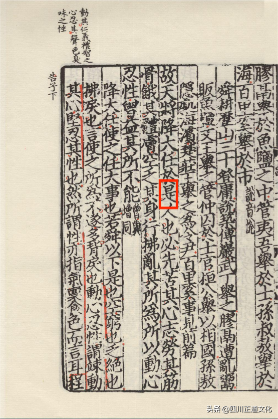 斯人也还是是人也_文中告诉你答案