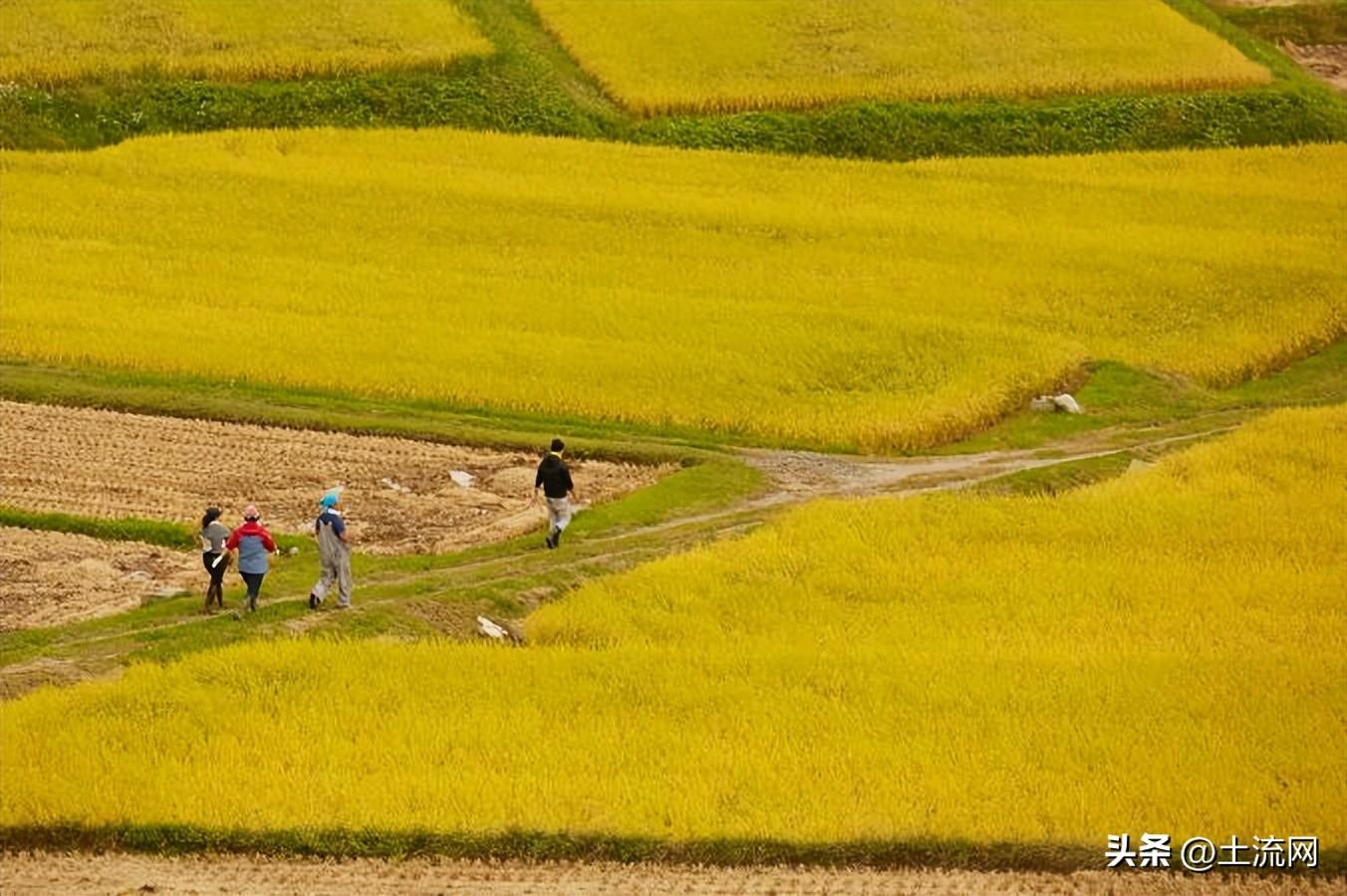 耕地开垦费标准是多少_耕地开垦费2023年最新标准