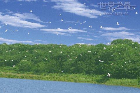 中国五大淡水湖是哪五个_中国五大淡水湖介绍