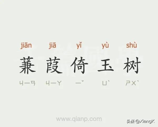 蒹葭倚玉树什么声音_蒹葭倚玉树的寓意