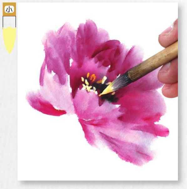 怎样画牡丹_画牡丹的技巧