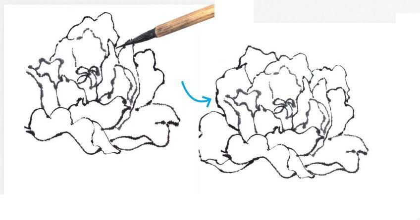 怎样画牡丹_画牡丹的技巧
