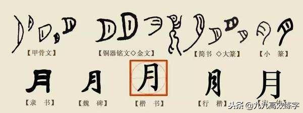 楷书怎么识字_楷书识字方法