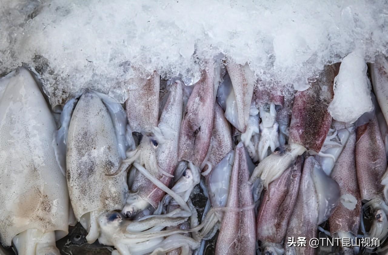 墨鱼怎么做_墨鱼的处理和营养价值