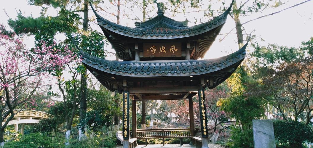 秦桧最后咋死的_秦桧最后的结局