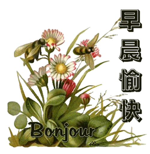 早安语录有哪些_美好而又温馨的早安语录