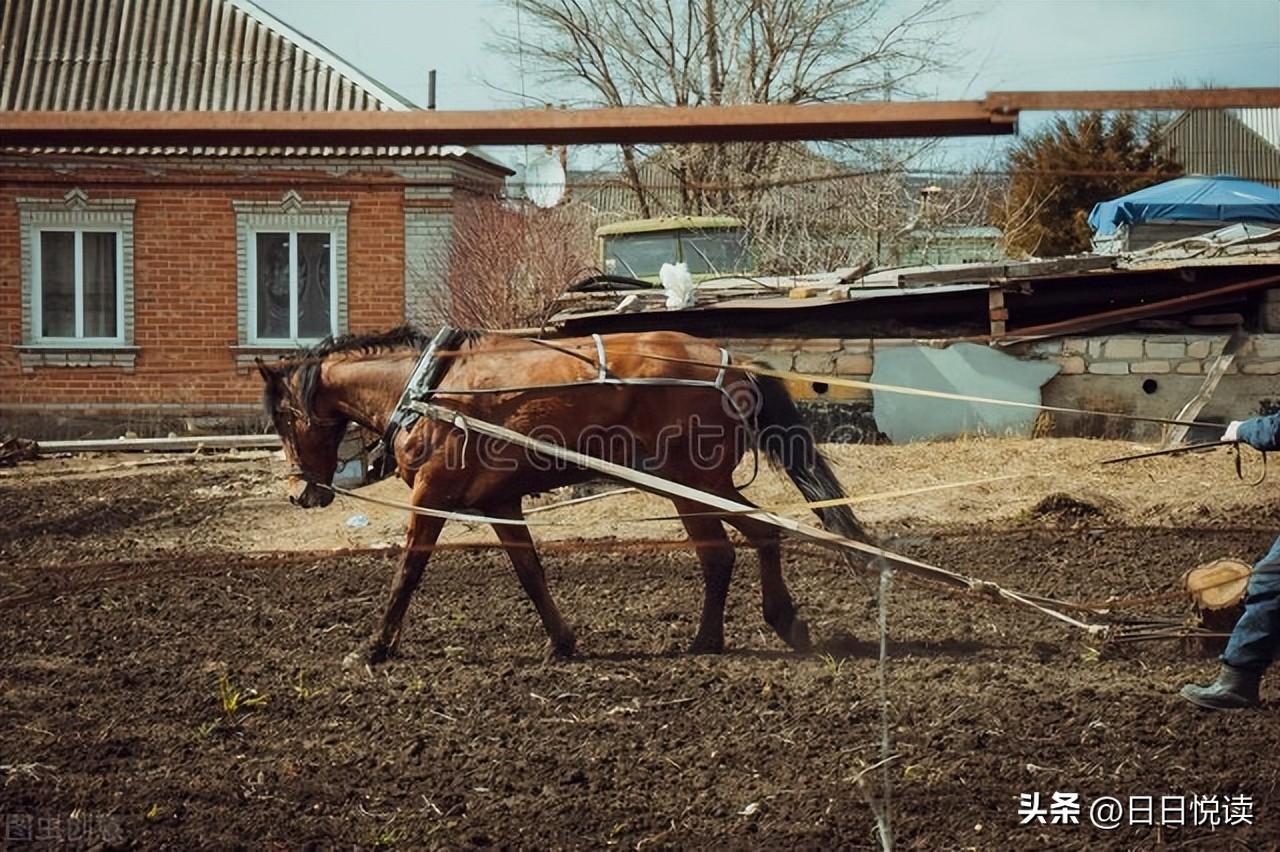 旧社会的地主是怎样炼成的_旧社会地主的炼成