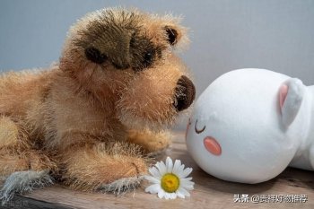 毛绒玩具洗完后毛硬怎么办_毛绒玩具洗完后毛硬的解决