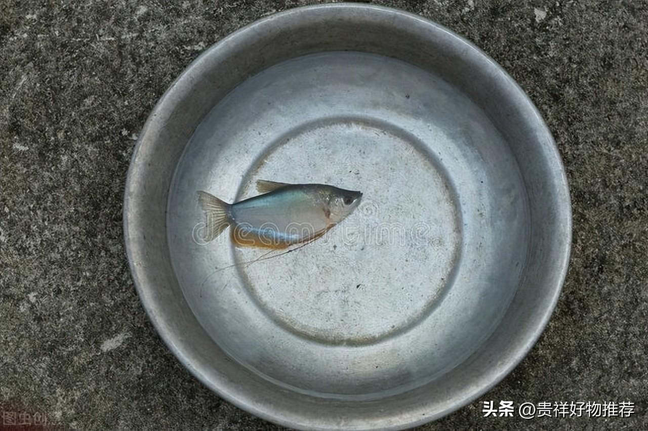 铝锅烧焦怎么清洗_铝锅烧焦的清洗方法