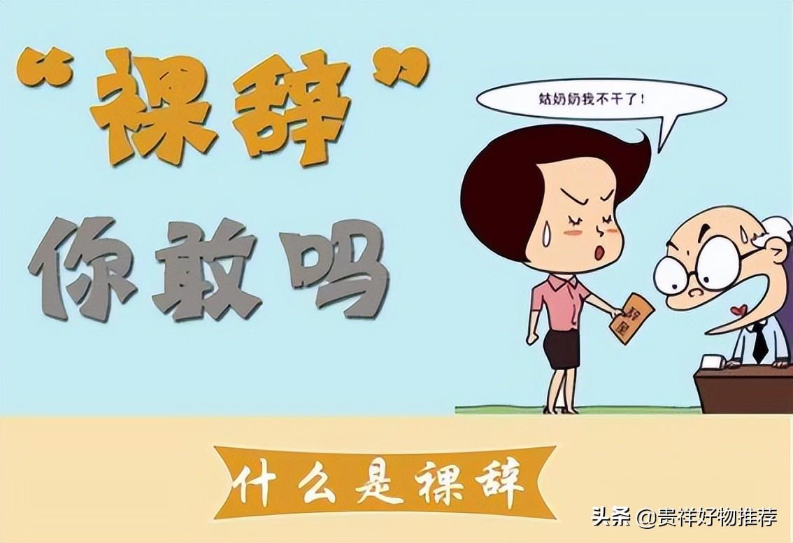 裸辞是什么意思_裸辞的基本概念