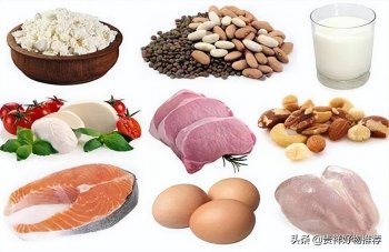 饮食该追求高营养还是均衡营养_一文解答