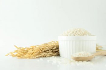 吃米和吃面哪个更容易胖_一文解答