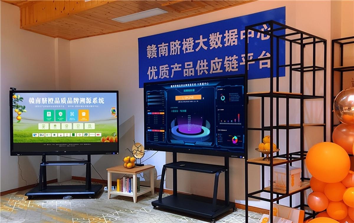 什么是种子计划_种子计划的概念