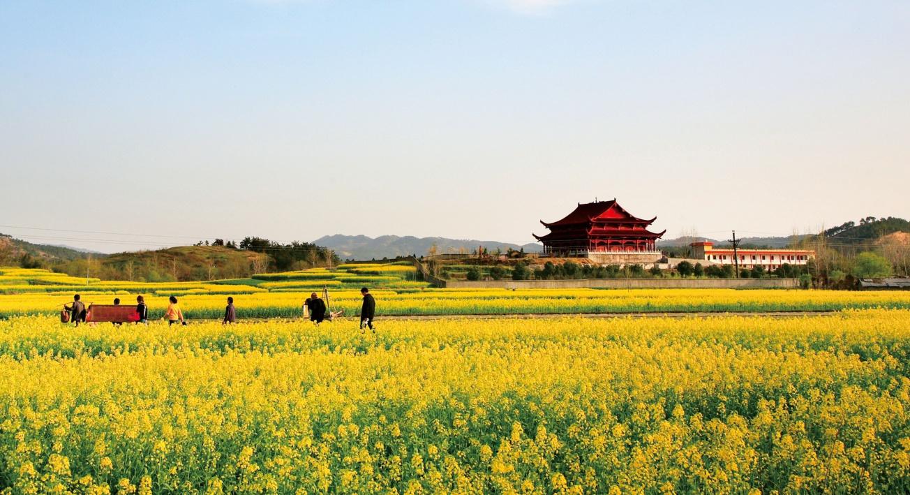 春天去哪里看油菜花_武汉周边油菜花攻略