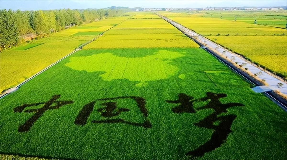 中国农业发展有哪些趋势_中国农业发展前景