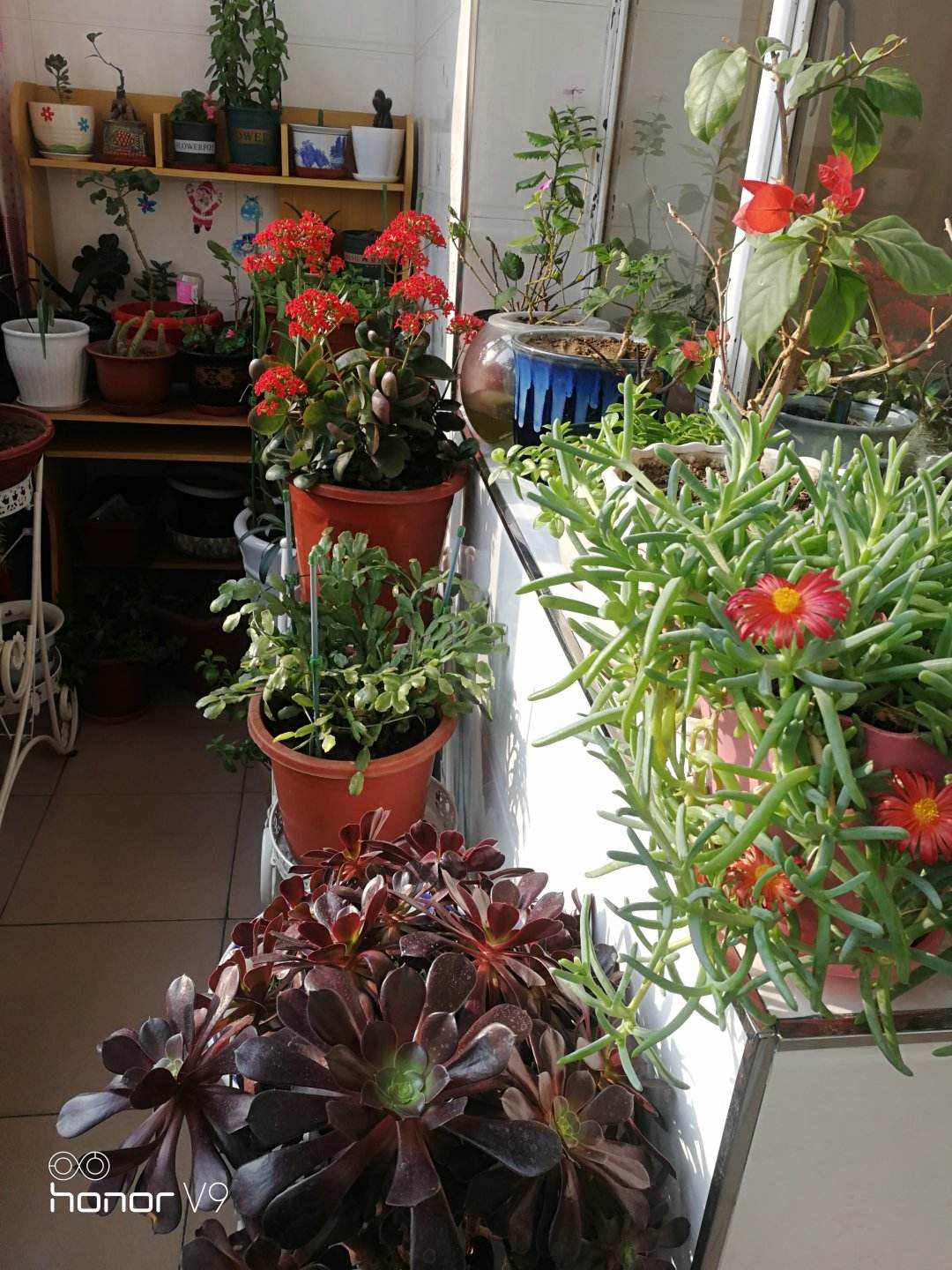 家庭花园怎么布置_家庭花园布置方法