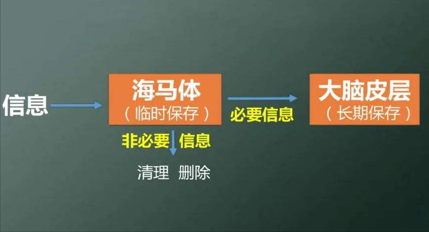 人类为何没有3岁前的记忆_一文揭晓答案