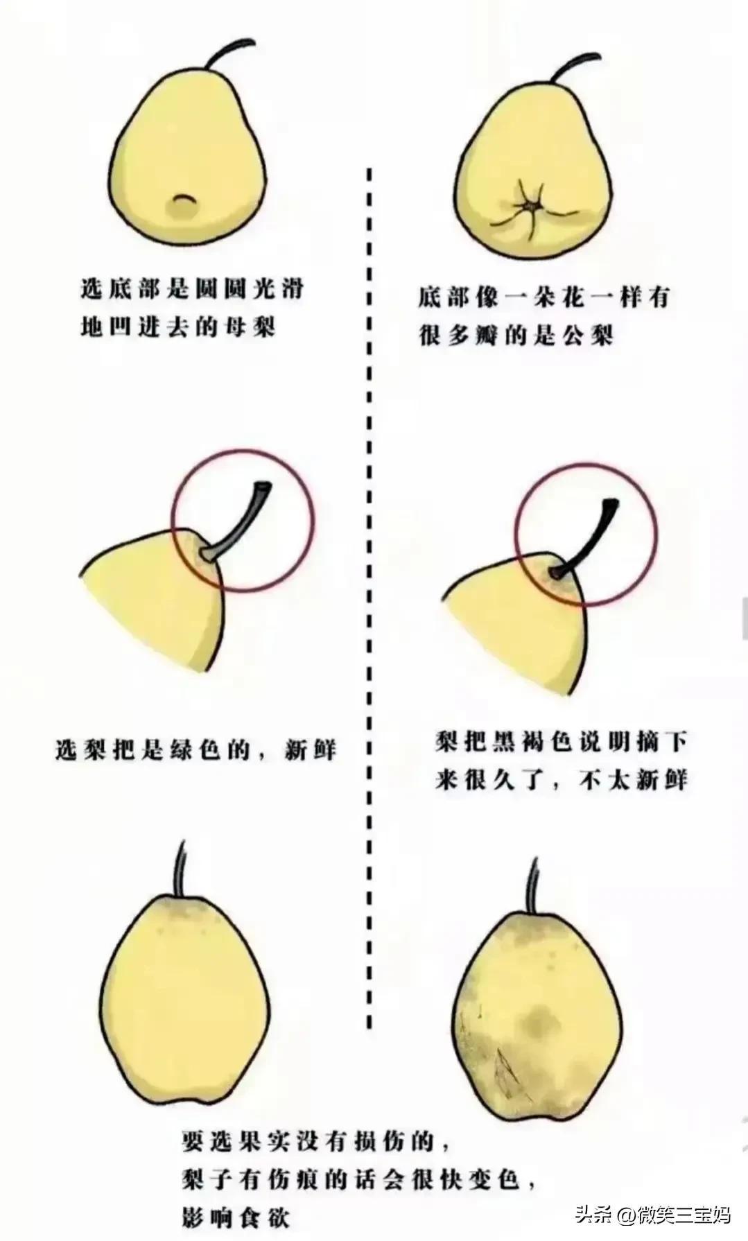 水果怎么挑选_水果挑选技巧