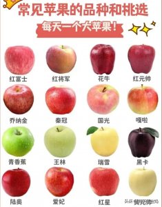 水果怎么挑选_水果挑选技巧