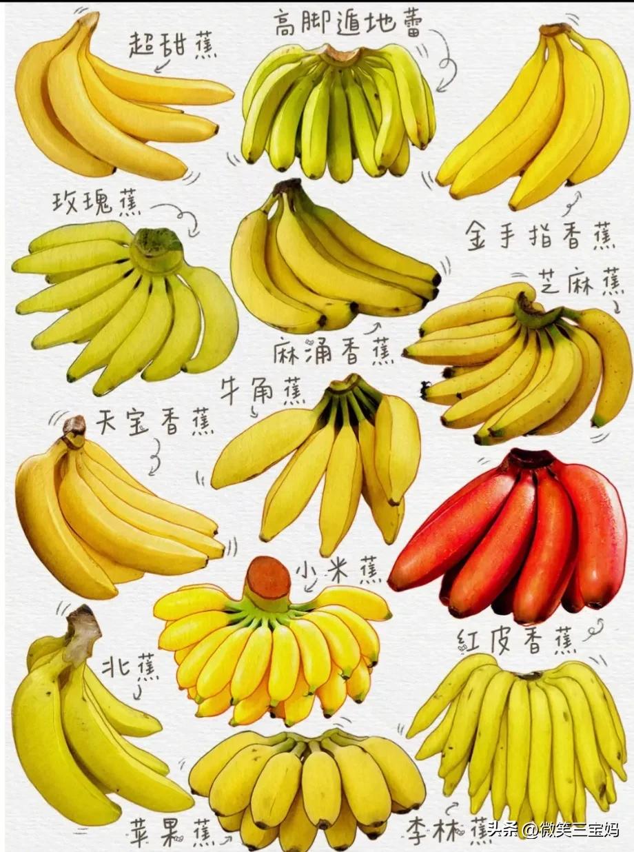 水果怎么挑选_水果挑选技巧