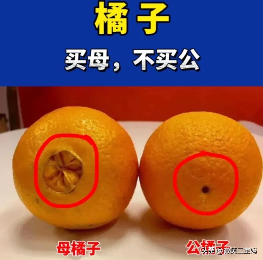 水果怎么挑选_水果挑选技巧