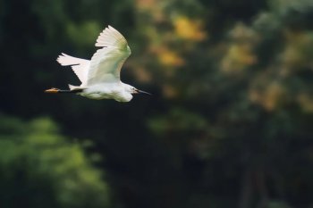 狂傲的诗词有哪些_史上最狂傲的30句诗词
