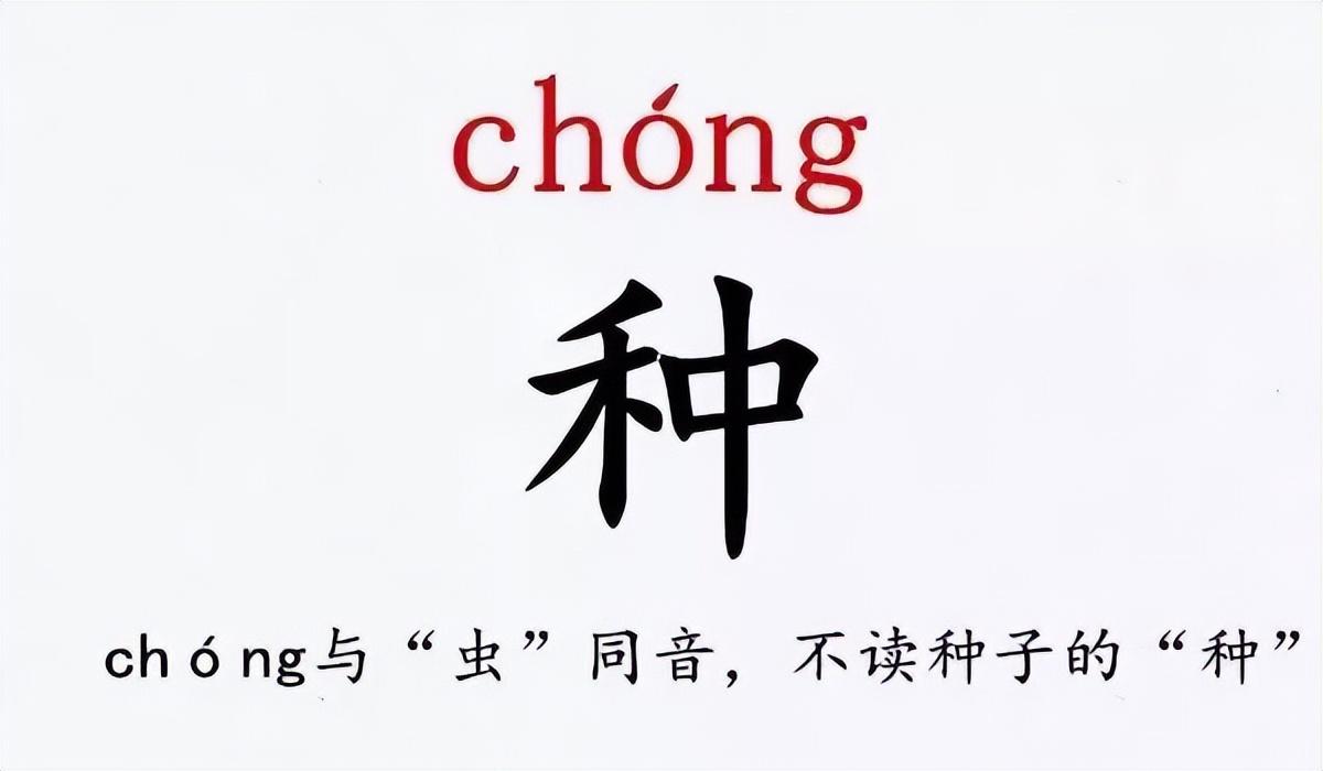 史上最难认的姓氏_你读对了吗