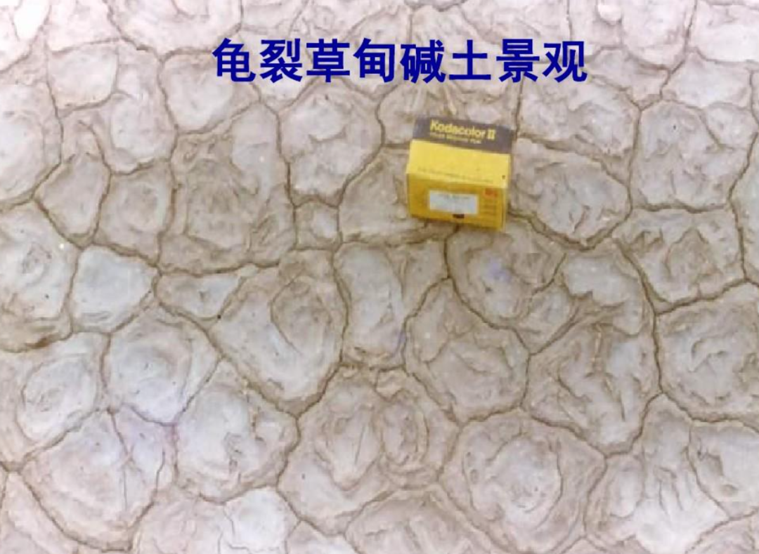 古代人用什么洗澡_古代人的那些洗澡用品