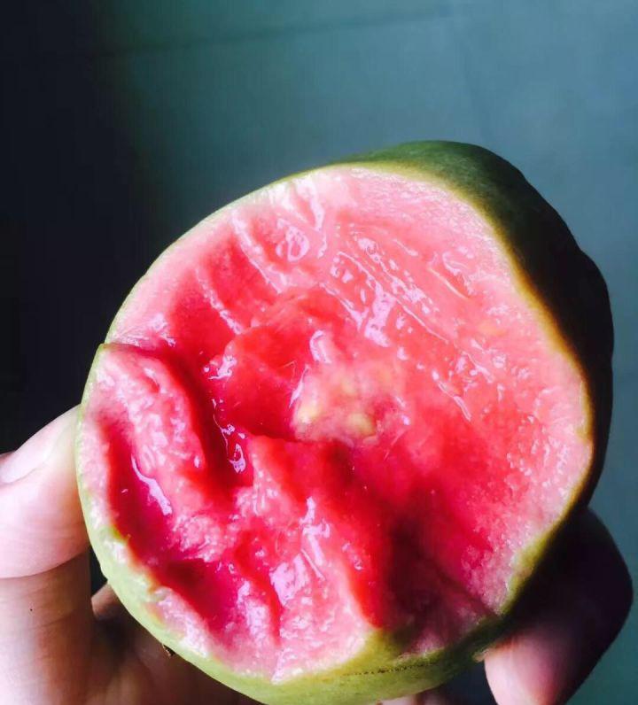 吃芭乐为什么要配上酸梅粉_芭乐的正确吃法